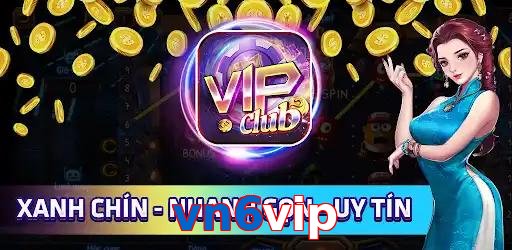 vn6vip